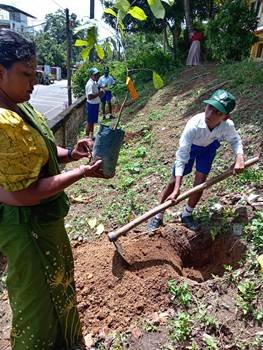 2026 වර්ෂයේ පරිසර දිනයට සමගාමීව අක්මීමන කොටිඨාශයේ පාසල් හා දහම්පාසල්  දරු දැරියන්ගේ සහභාගිත්වයෙන්  පරිසර දින වැඩසටහන්  2026.06.05 , 07, හා 08 දිනයන්හිදී   පැවැත්විණි