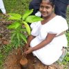 2026 වර්ෂයේ පරිසර දිනයට සමගාමීව අක්මීමන කොටිඨාශයේ පාසල් හා දහම්පාසල්  දරු දැරියන්ගේ සහභාගිත්වයෙන්  පරිසර දින වැඩසටහන්  2026.06.05 , 07, හා 08 දිනයන්හිදී   පැවැත්විණි