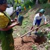 2026 වර්ෂයේ පරිසර දිනයට සමගාමීව අක්මීමන කොටිඨාශයේ පාසල් හා දහම්පාසල්  දරු දැරියන්ගේ සහභාගිත්වයෙන්  පරිසර දින වැඩසටහන්  2026.06.05 , 07, හා 08 දිනයන්හිදී   පැවැත්විණි